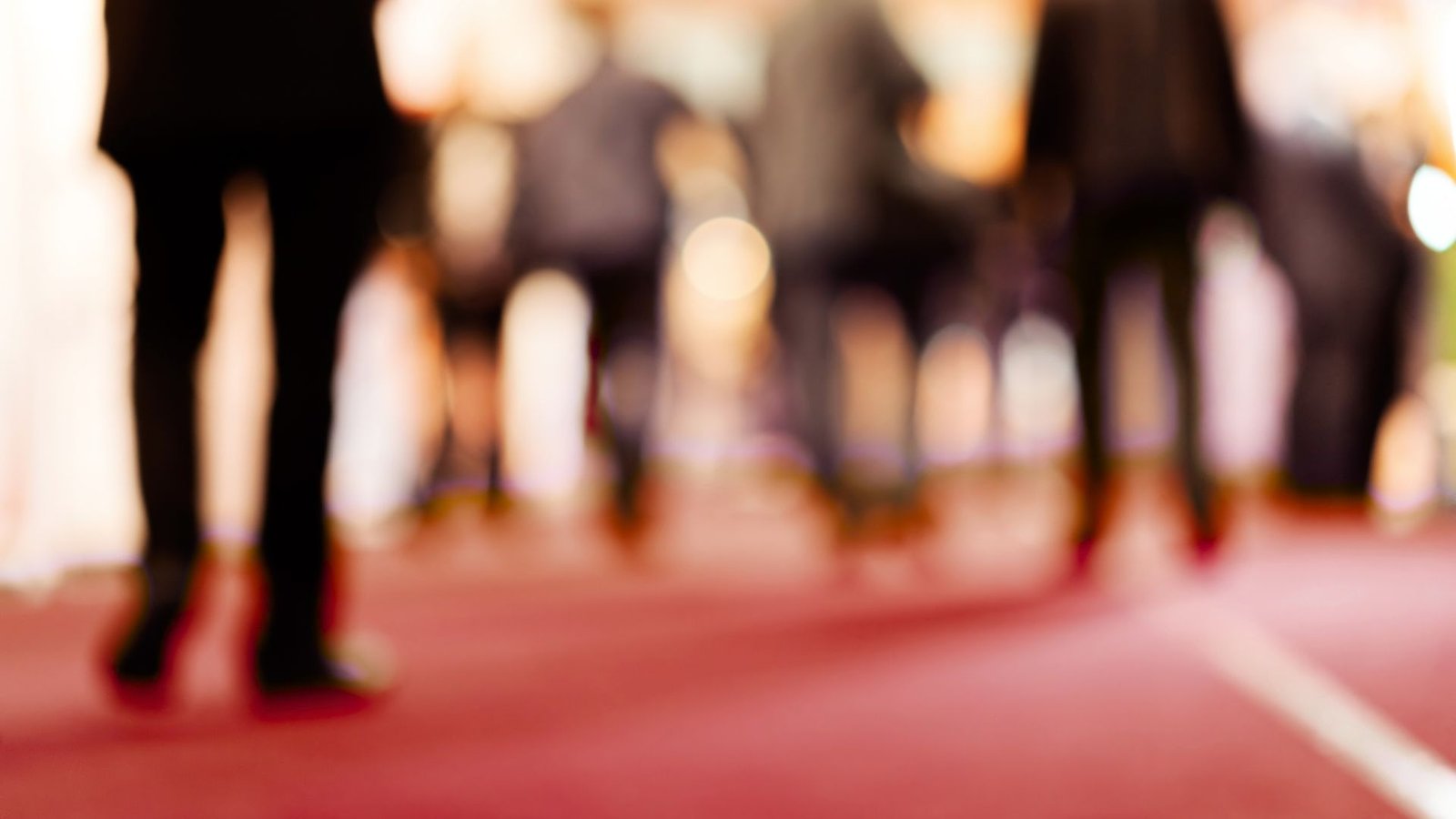 2024 Carleton University Winter Virtual Career Fair